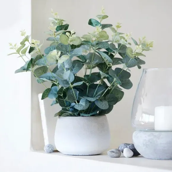 Artificial Eucalyptus Plant - White, Cement Pot