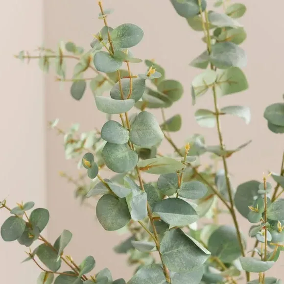 Artificial Eucalyptus Tree - Green, Orange Pot