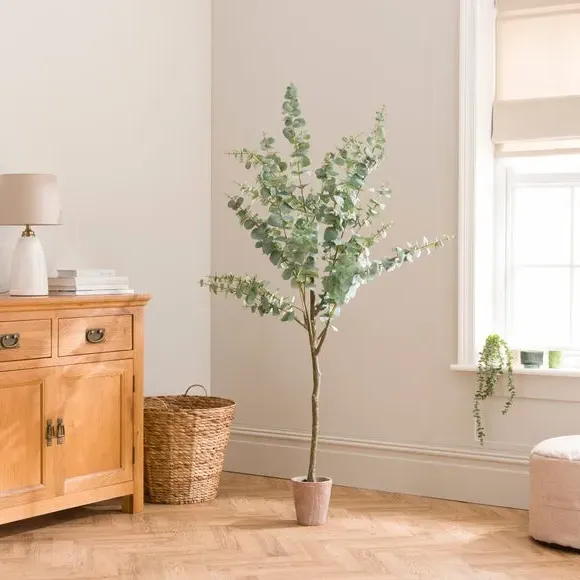 Artificial Eucalyptus Tree - Green, Orange Pot image