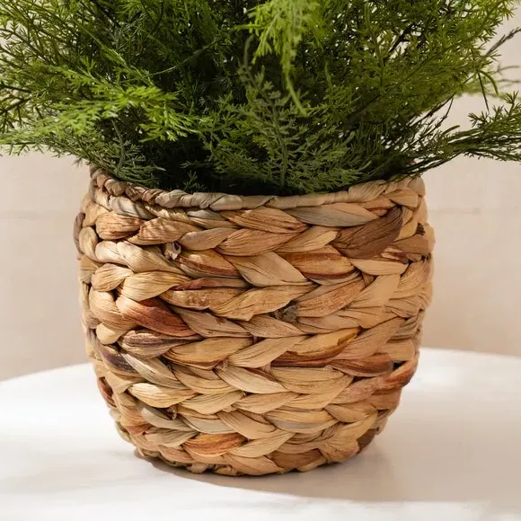 Artificial Fern in Woven Basket - Green