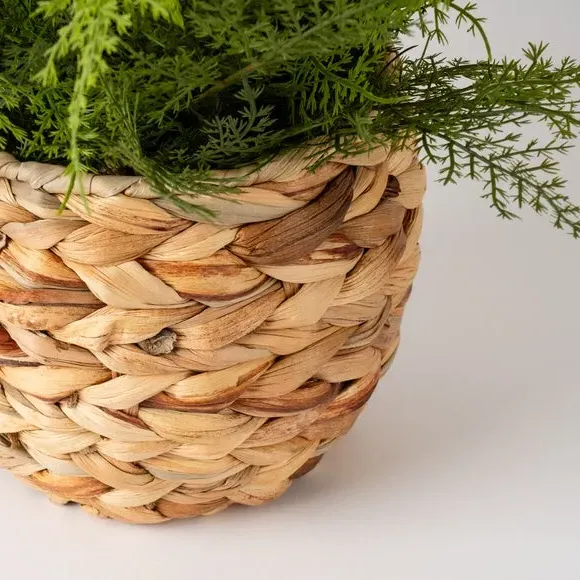 Artificial Fern in Woven Basket - Green
