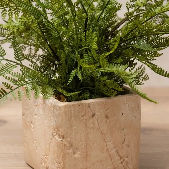 Artificial Fern Plant - Green, Cement Pot
