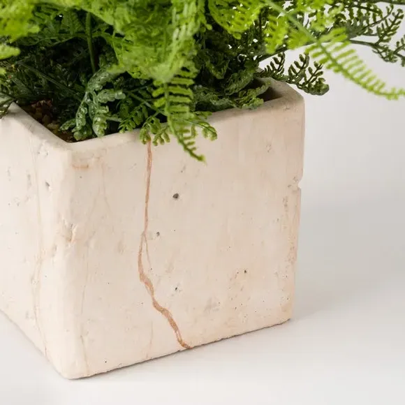 Artificial Fern Plant - Green, Cement Pot