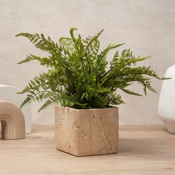 Artificial Fern Plant - Green, Cement Pot