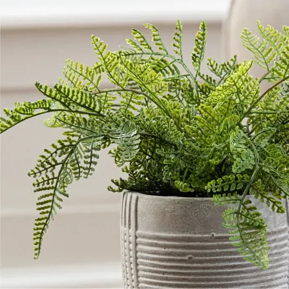 Artificial Fern Plant - Green, Concrete Pot