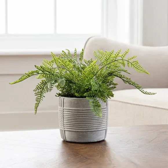 Artificial Fern Plant - Green, Concrete Pot image