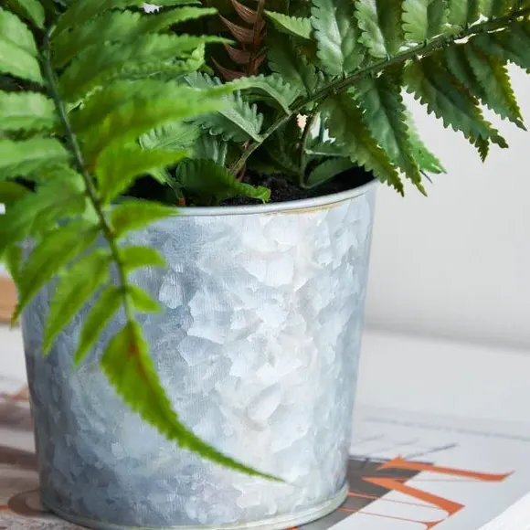 Artificial Fern Plant - Green, Iron Pot