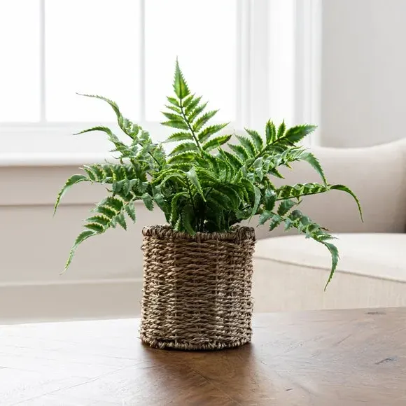 Artificial Fern Plant - Green, Rattan Pot image