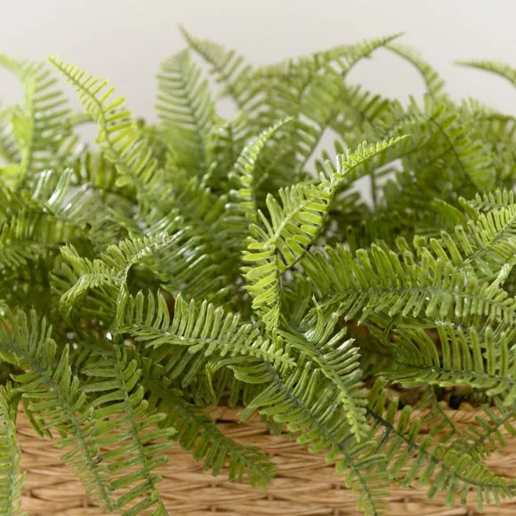 Artificial Fern Plant in Basket - Green