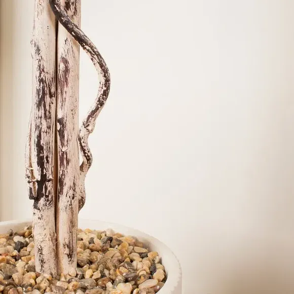 Artificial Ficus Tree - Green, Cement Pot