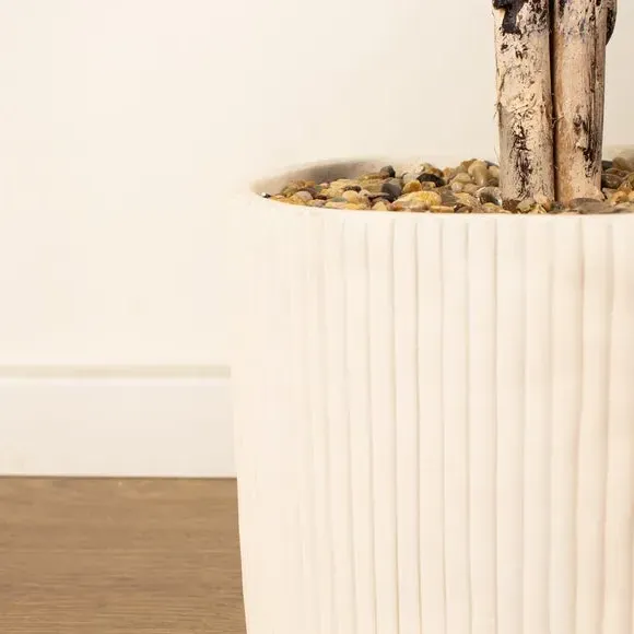 Artificial Ficus Tree - Green, Cement Pot