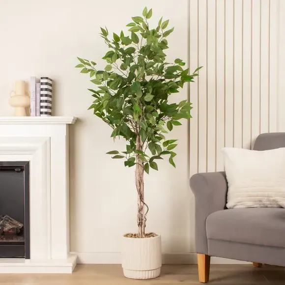 Artificial Ficus Tree - Green, Cement Pot image