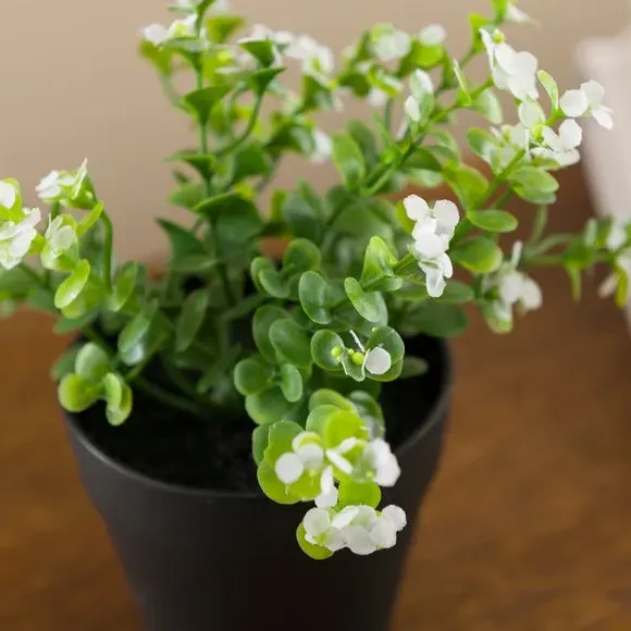 Artificial Foliage Plant - Green, Plastic Pot