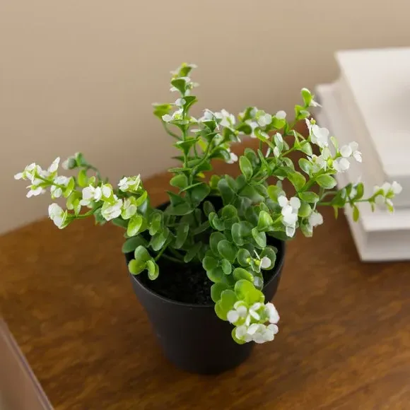 Artificial Foliage Plant - Green, Plastic Pot