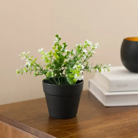 Artificial Foliage Plant - Green, Plastic Pot image