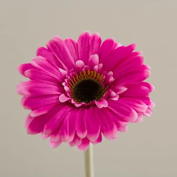 Artificial Gerbera Stem - Hot Pink