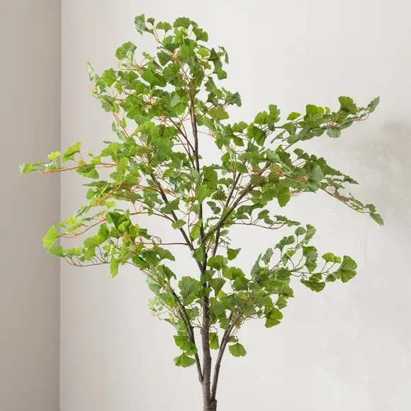 Artificial Ginkgo Tree - Green, Black Pot