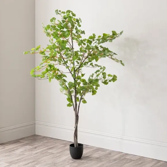 Artificial Ginkgo Tree - Green, Black Pot