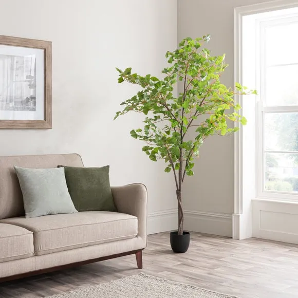 Artificial Ginkgo Tree - Green, Black Pot image