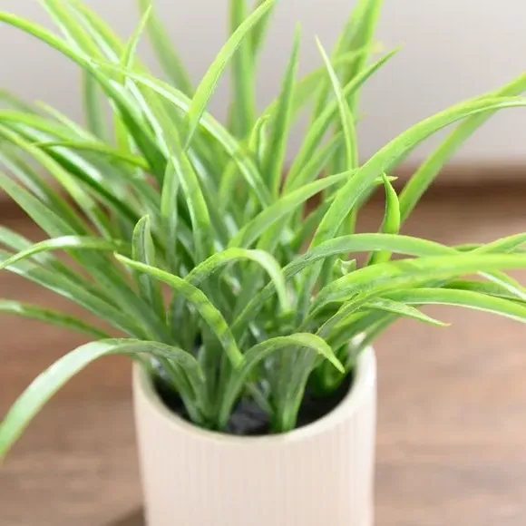 Artificial Grass Plant - White, Ceramic Pot