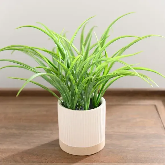 Artificial Grass Plant - White, Ceramic Pot