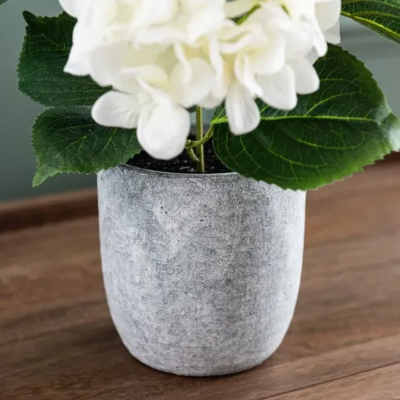 Artificial Hydrangea Plant - White, Cement Pot