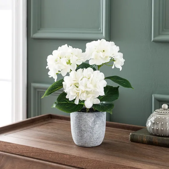 Artificial Hydrangea Plant - White, Cement Pot image