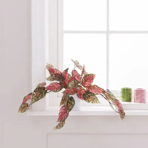 Artificial Hypoestes Plant - Pink, Plastic Pot image