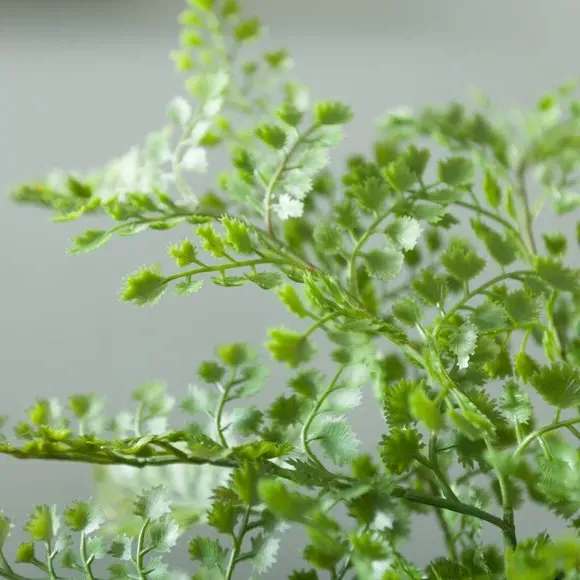 Artificial Maidenhair Fern - Green, Plastic Pot