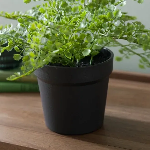Artificial Maidenhair Fern - Green, Plastic Pot