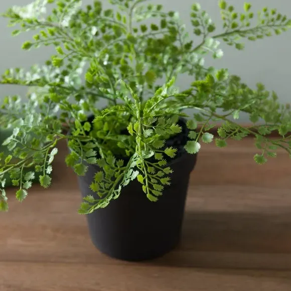 Artificial Maidenhair Fern - Green, Plastic Pot