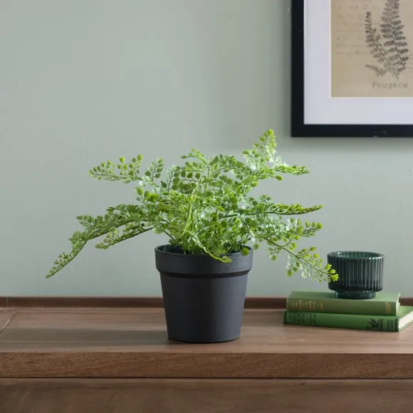 Artificial Maidenhair Fern - Green, Plastic Pot image