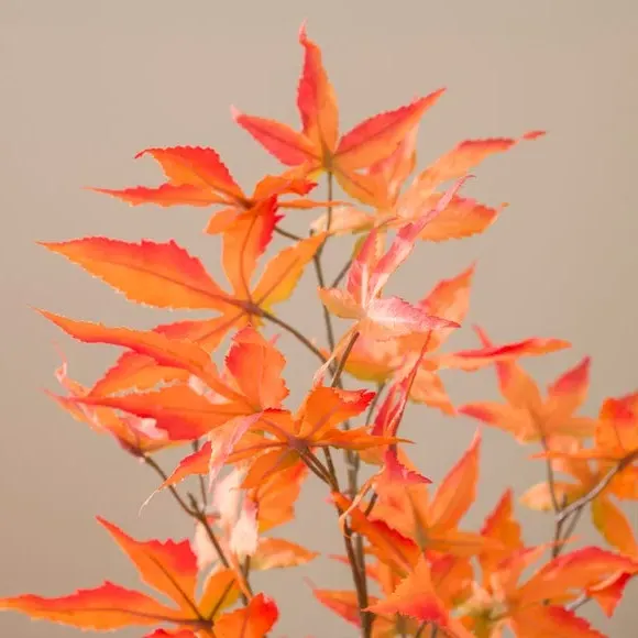 Artificial Maple Tree - Orange, Terracotta Pot