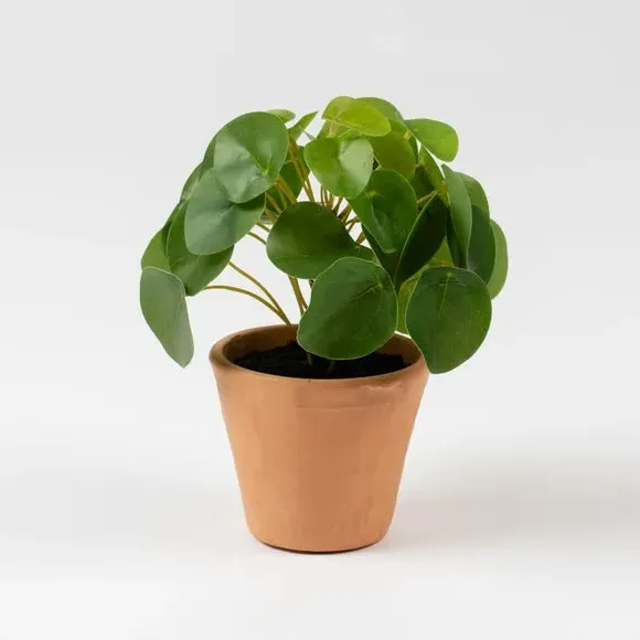 Artificial Money Plant - Terracotta, Ceramic