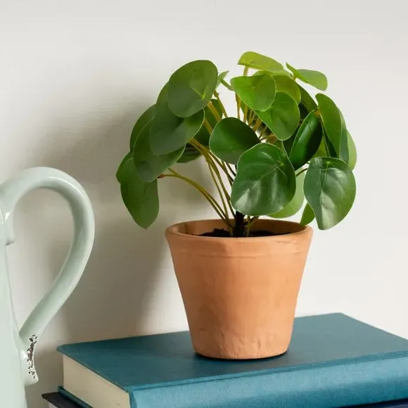 Artificial Money Plant - Terracotta, Ceramic