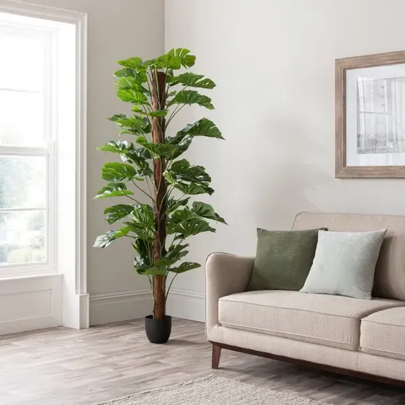 Artificial Monstera Tree - Green, Black Pot image