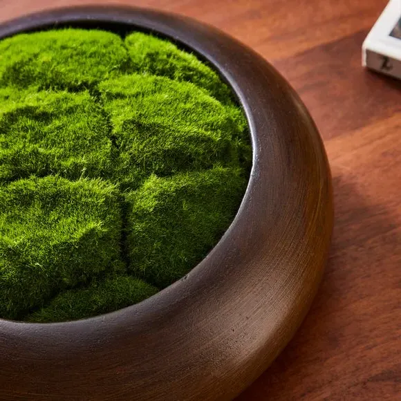 Artificial Moss Bowl - Green, Wood Effect