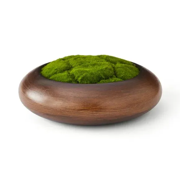 Artificial Moss Bowl - Green, Wood Effect