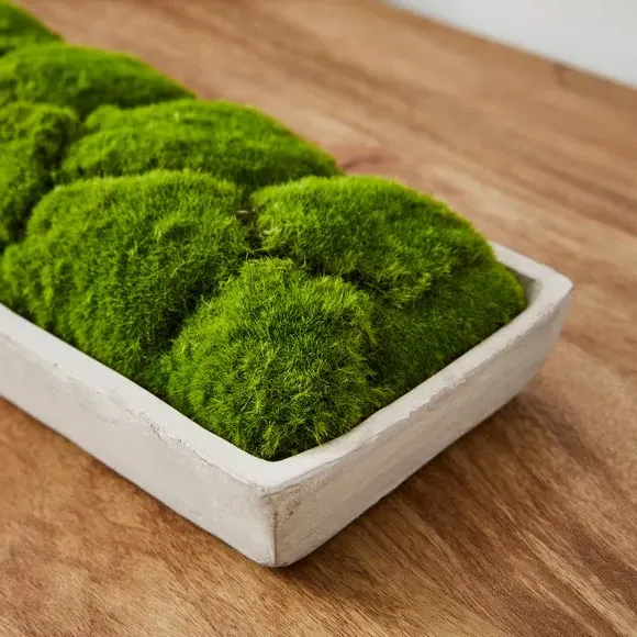 Artificial Moss in Cement Tray - Grey
