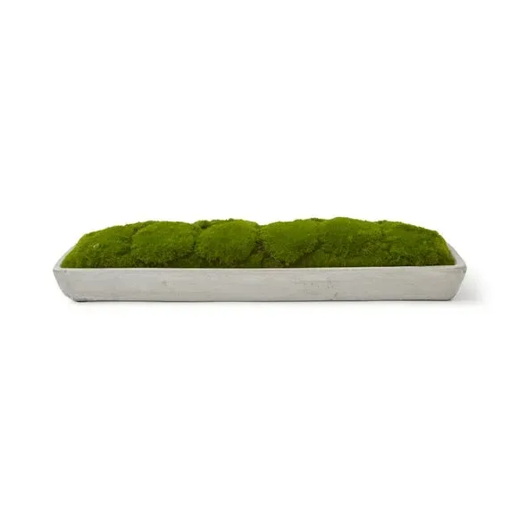 Artificial Moss in Cement Tray - Grey