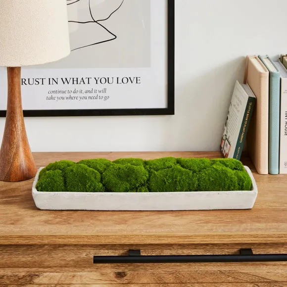 Artificial Moss in Cement Tray - Grey image