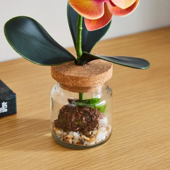 Artificial Orchid in Glass Jar - Orange