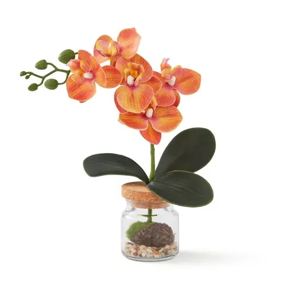 Artificial Orchid in Glass Jar - Orange