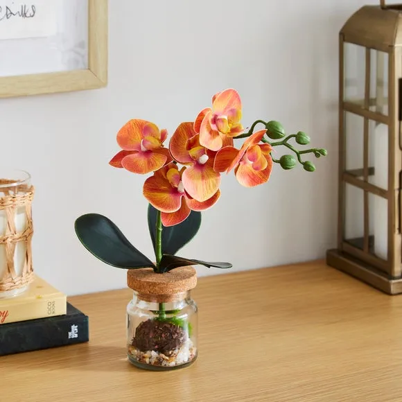 Artificial Orchid in Glass Jar - Orange image