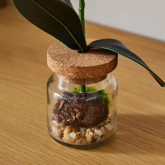 Artificial Orchid in Glass Jar - White