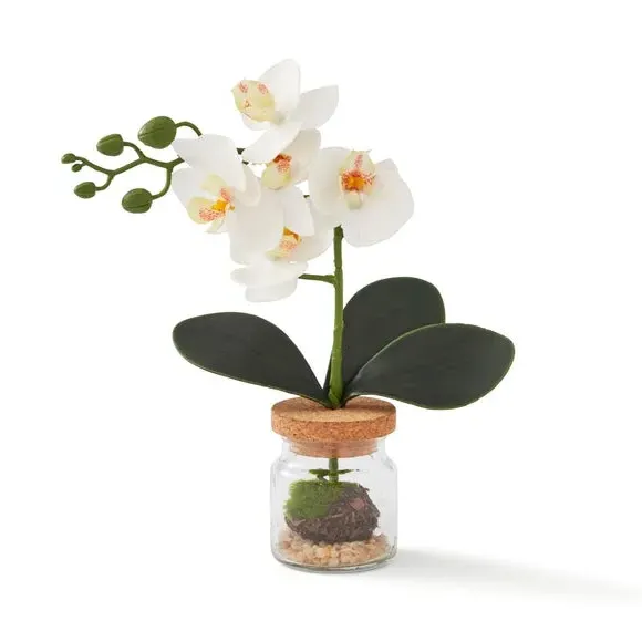 Artificial Orchid in Glass Jar - White