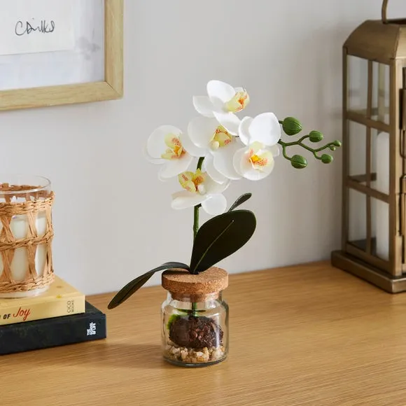 Artificial Orchid in Glass Jar - White