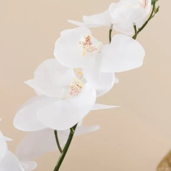 Artificial Orchid in Glass Vase - White