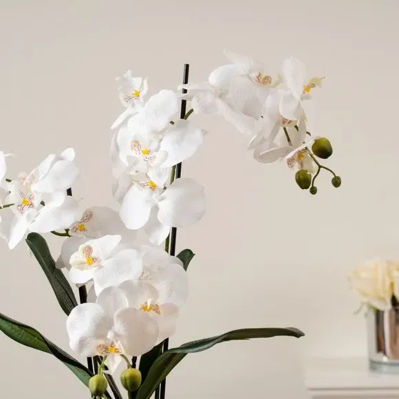 Artificial Orchid in Vase - White, Real Touch
