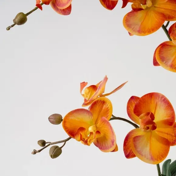Artificial Orchid Plant - Orange, Ceramic Pot